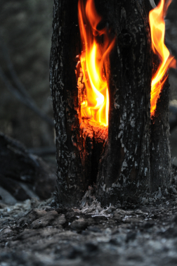 A tűz, amelyet a világűrből is látni lehetett_6